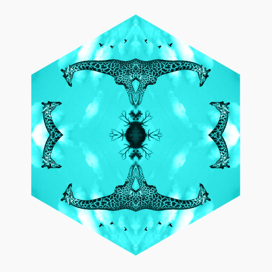 Envision Africa giraffe kaleidoscope hexagon in teal
